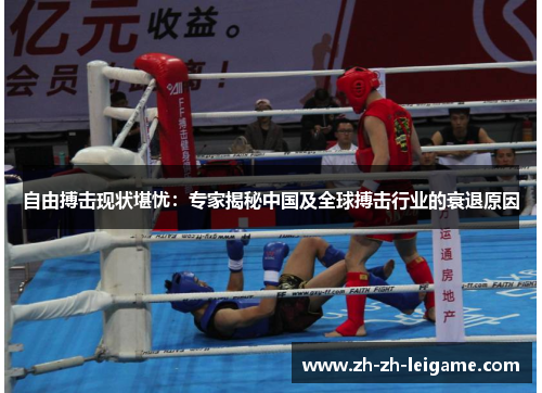 自由搏击现状堪忧:专家揭秘中国及全球搏击行业的衰退原因 自由搏击现状堪忧:专家揭秘中国及全球搏击行业的衰退原因