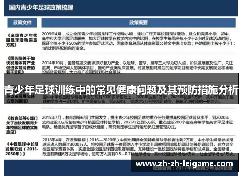 青少年足球训练中的常见健康问题及其预防措施分析